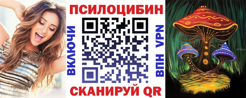 shop состав  Заволжск  Псилоцибиновые грибы Psilocybine cubensis  наркотики 
